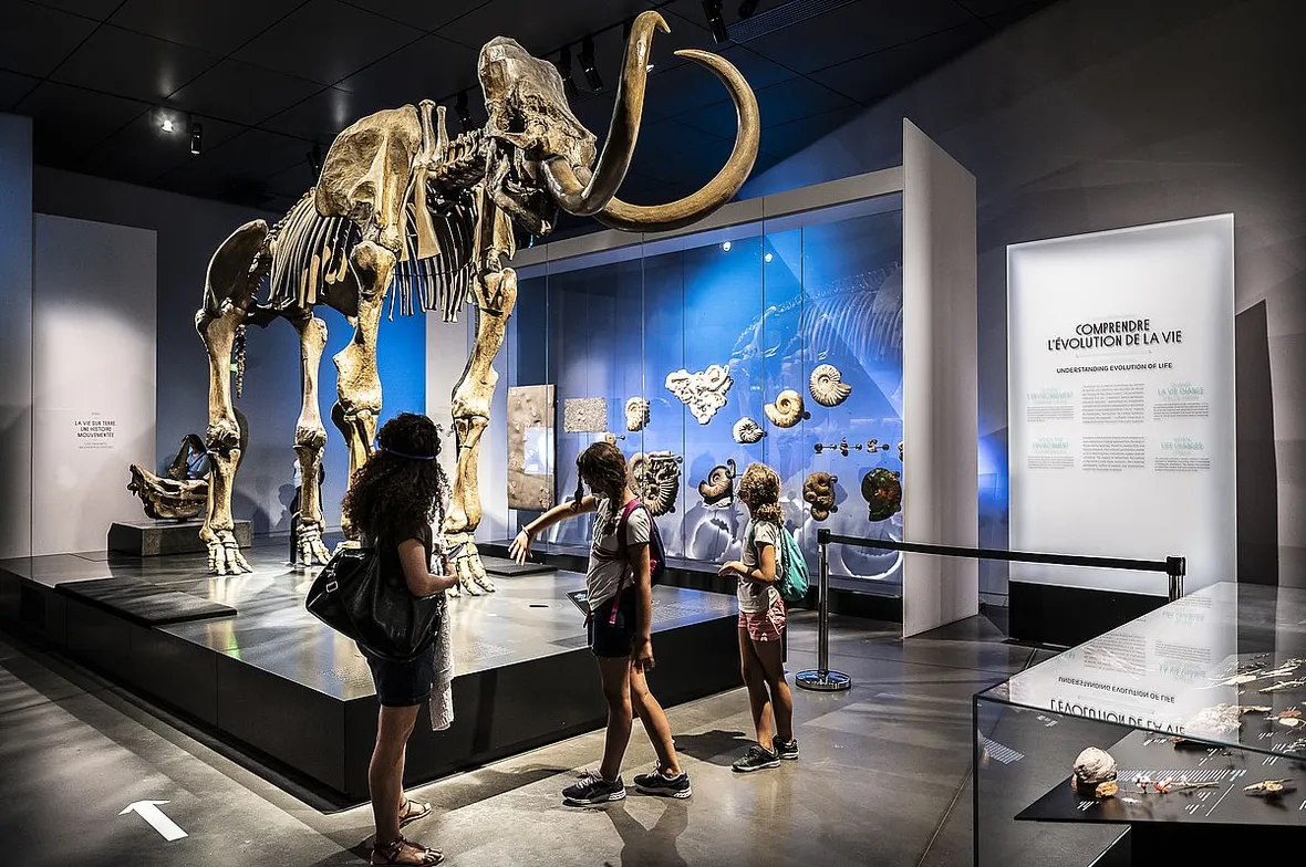 Des enfants devant le squelette de mammouth du Musée des Confluences · Photo Thierry Fournier / Métropole de Lyon
