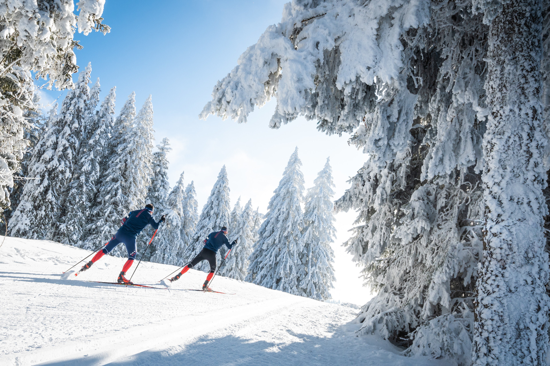 Deux fondeurs sur une piste bordée de sapins givrés, à Autrans-Méaudre · Photo Focus Outdoor