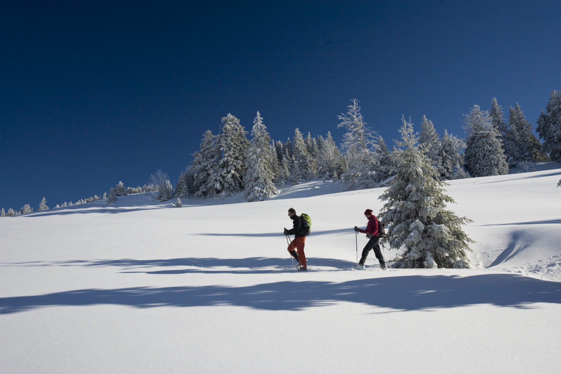Sortie hivernale sur le plateau enneigé du Bessat, dans le Pilat · Photo Communauté de communes des Monts du Pilat